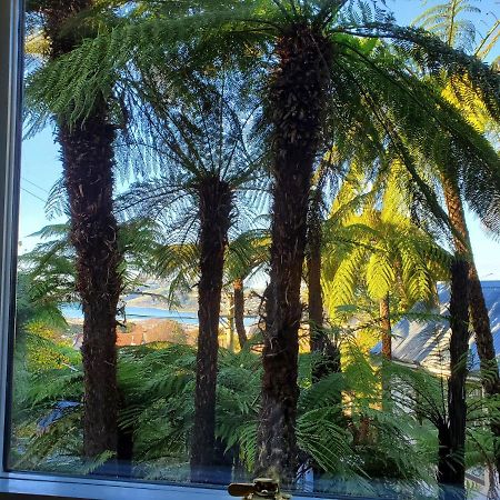 Koru Flat Lägenhet Dunedin Exteriör bild